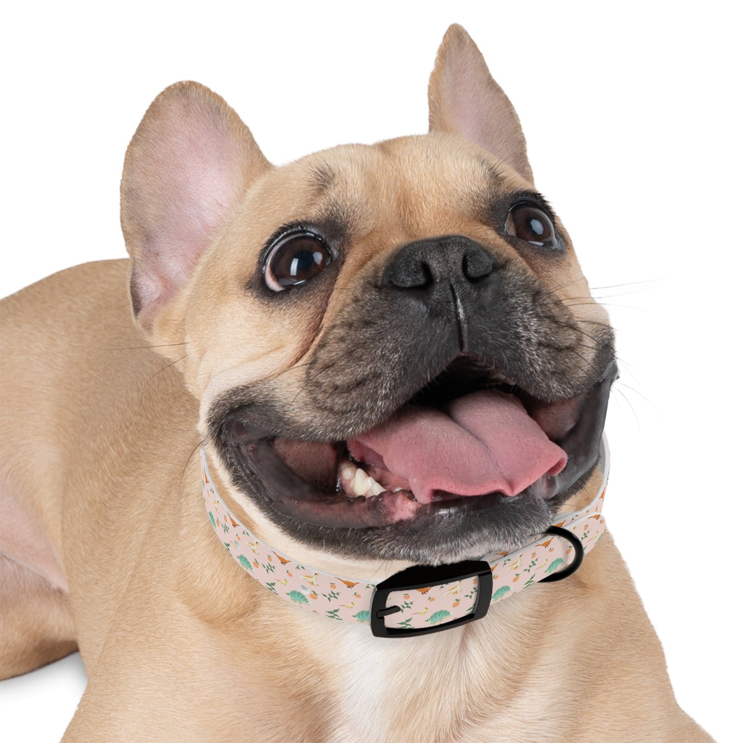 Peach Dinos - Dog Collar