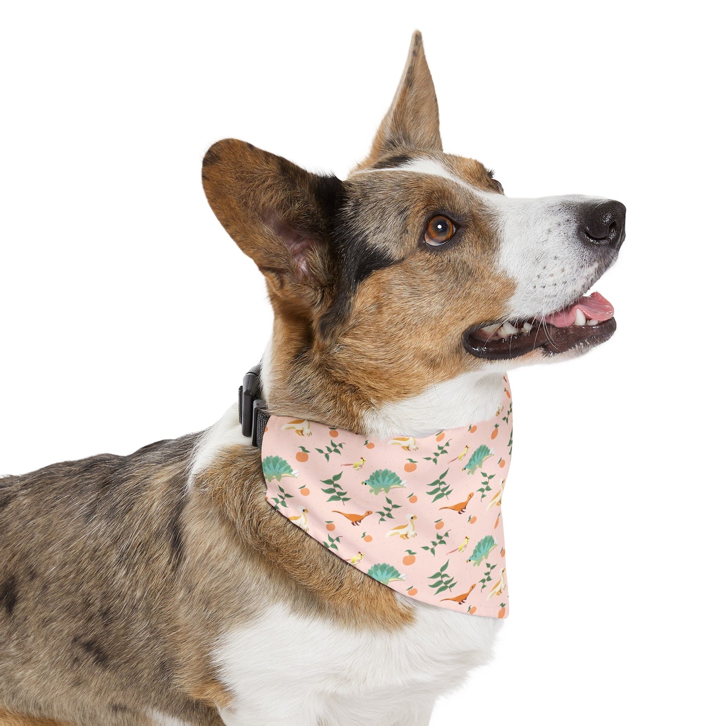 Peach Dinos - Pet Bandana Collar