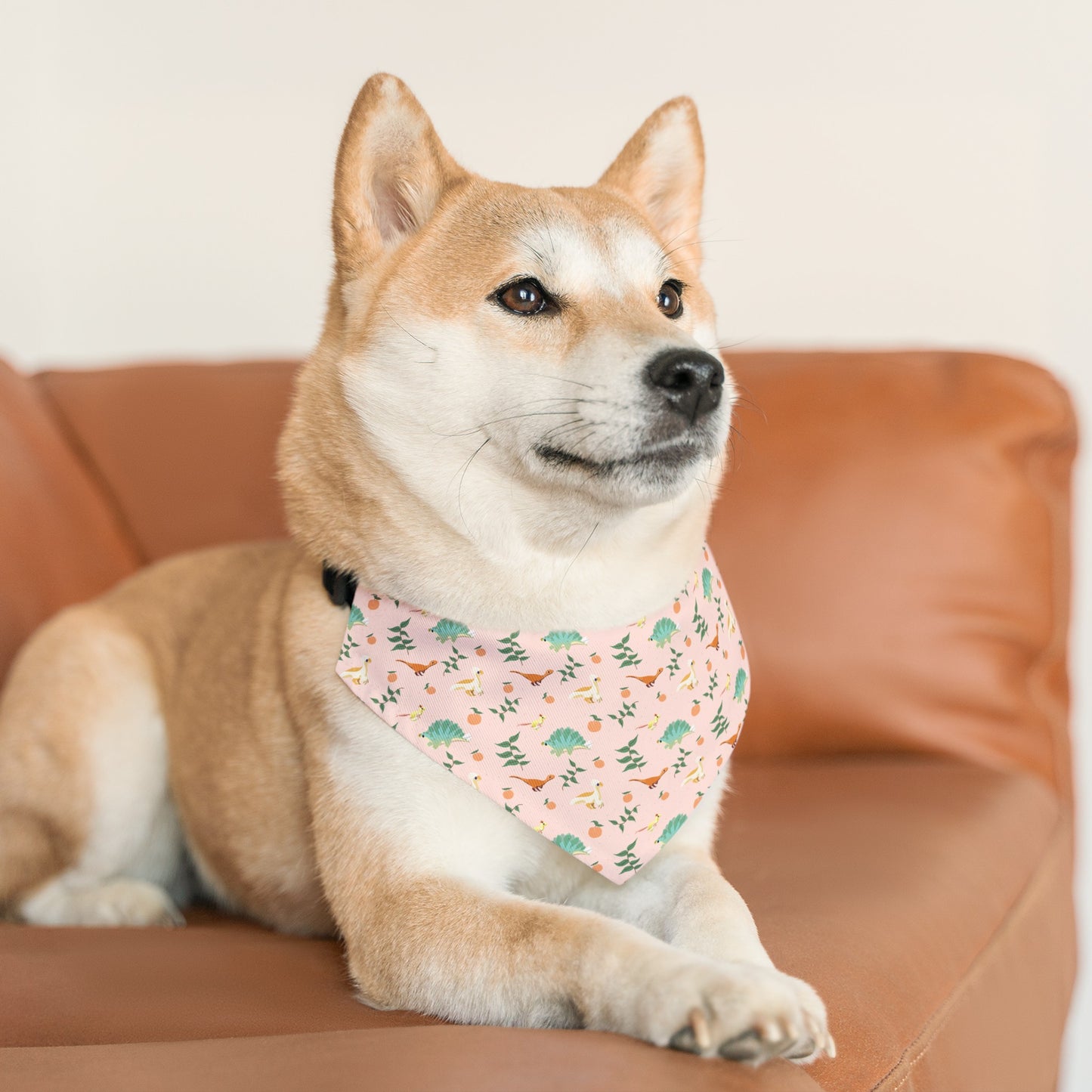 Peach Dinos - Pet Bandana Collar